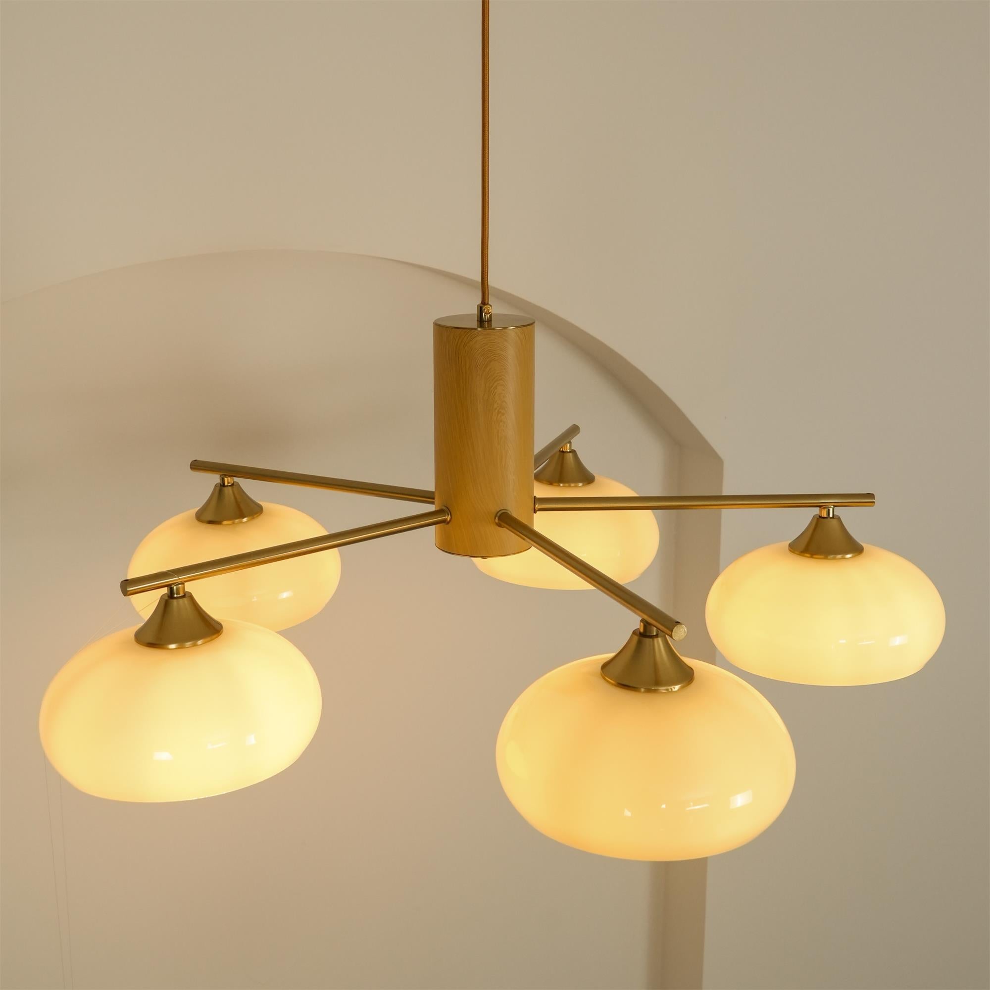Clairview Elliptical Persimmon Chandelier