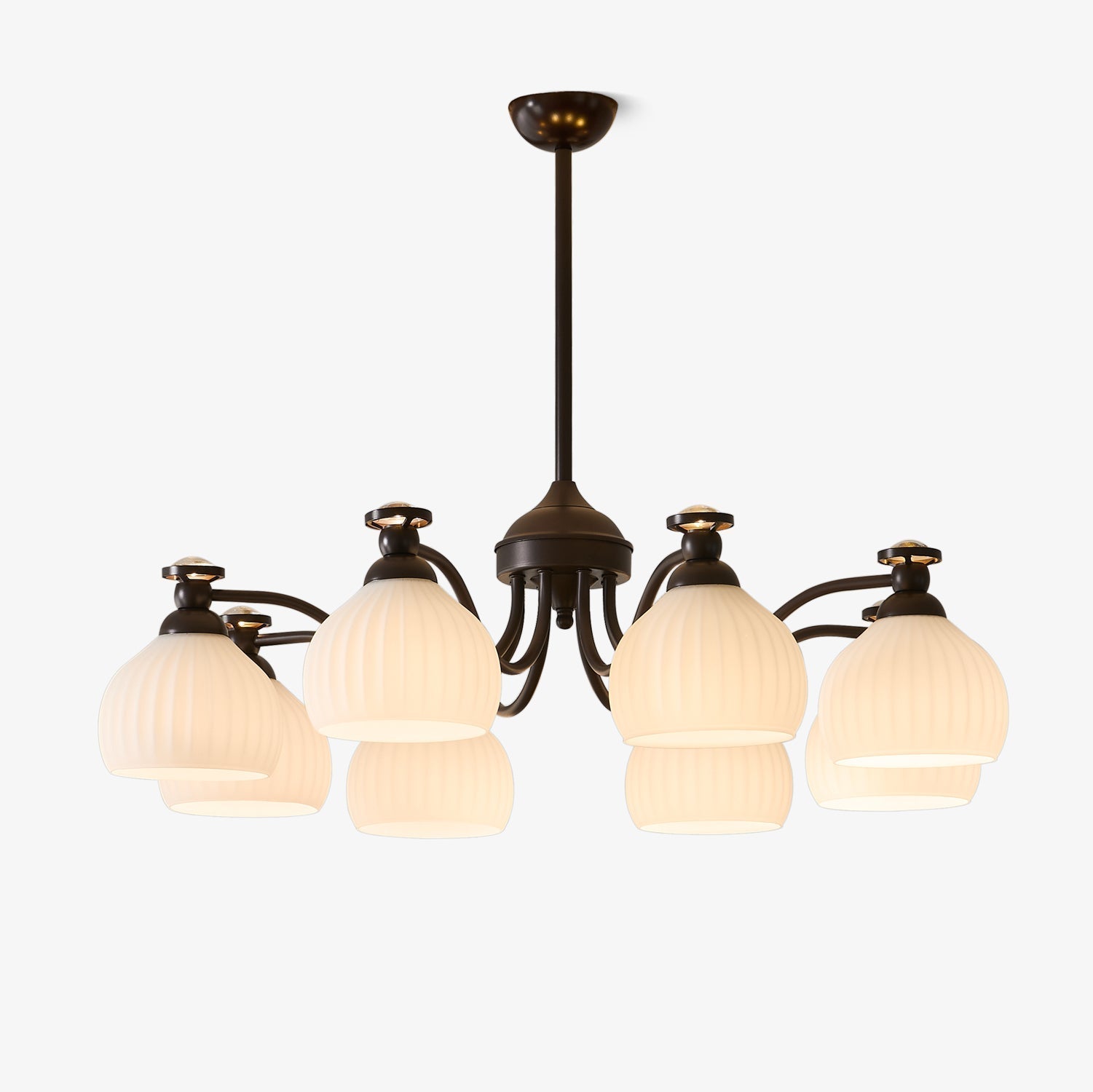 Calaeor Premium Elegance Glass Chandelier