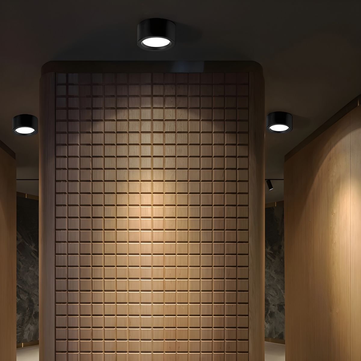 Usorel Modern Minimalist Surface Ceiling Light