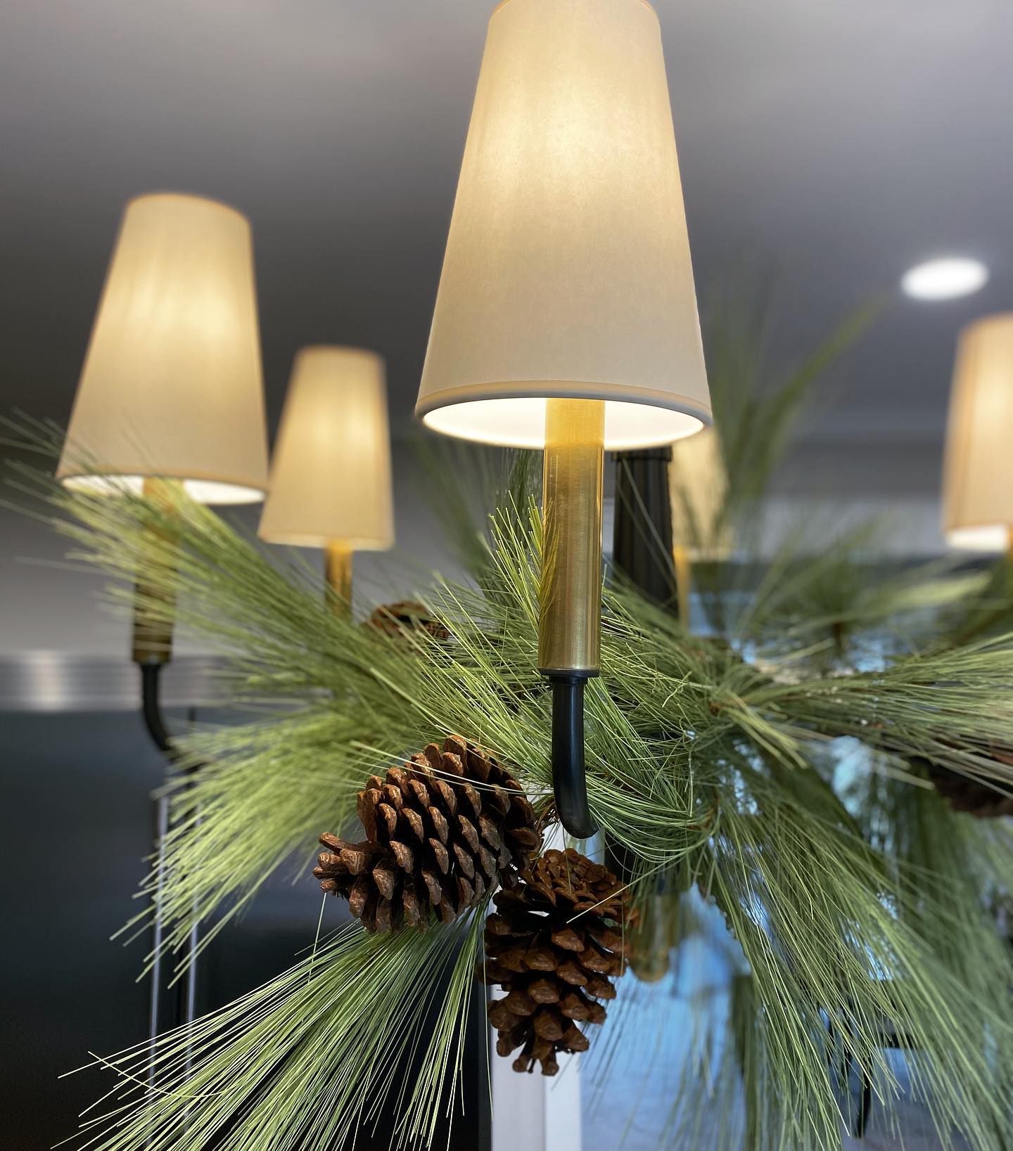 Winsdom Chandelier