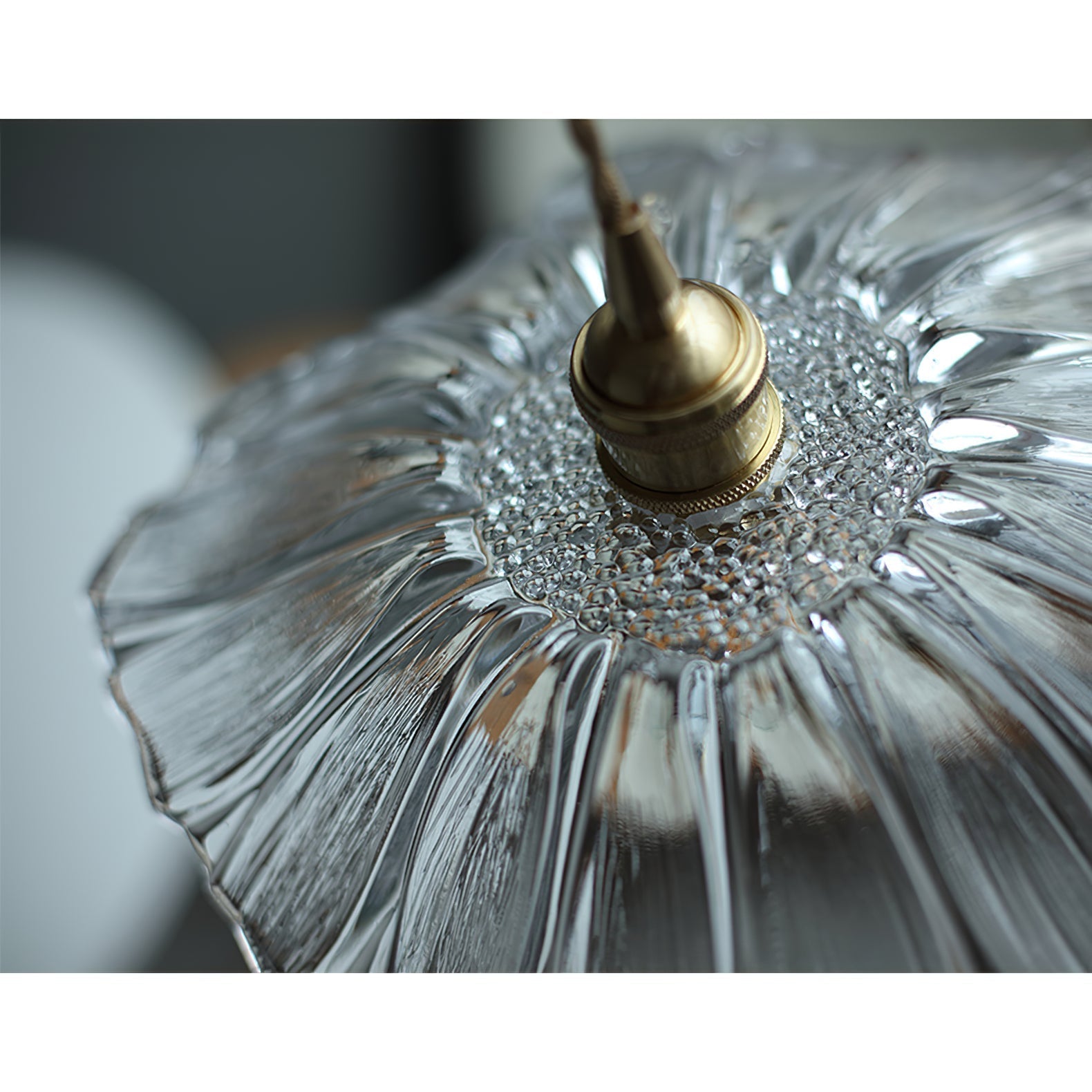 Avenivia Pendant Lamp