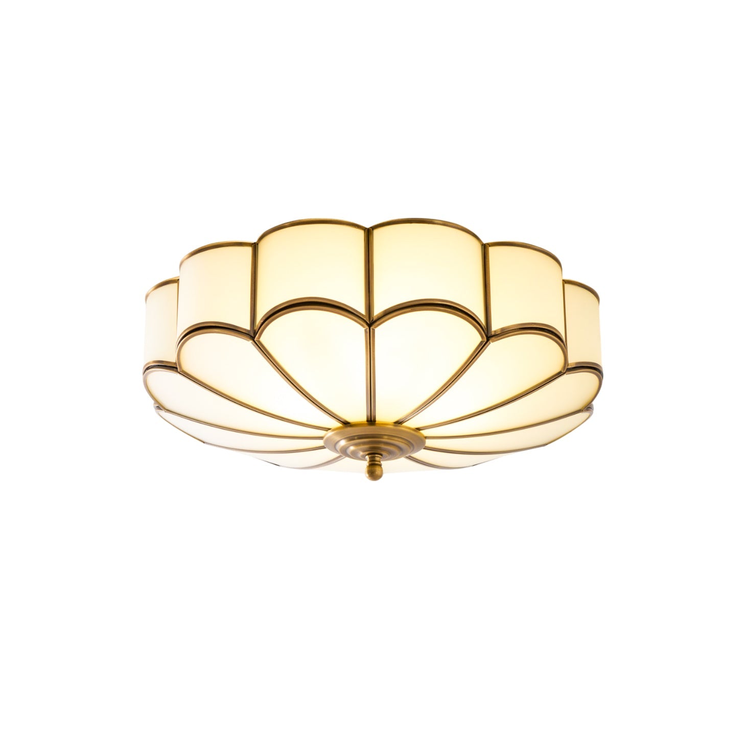 Fioraley Flower Shape Glass Flush Mount Ceiling Light
