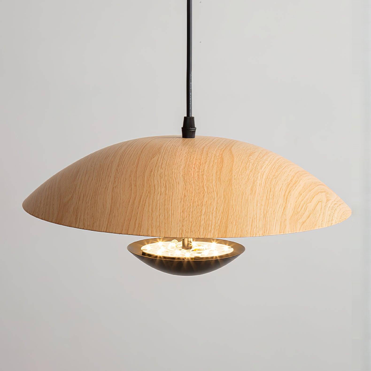Virainette Modern Frisbee Pendant Lamp