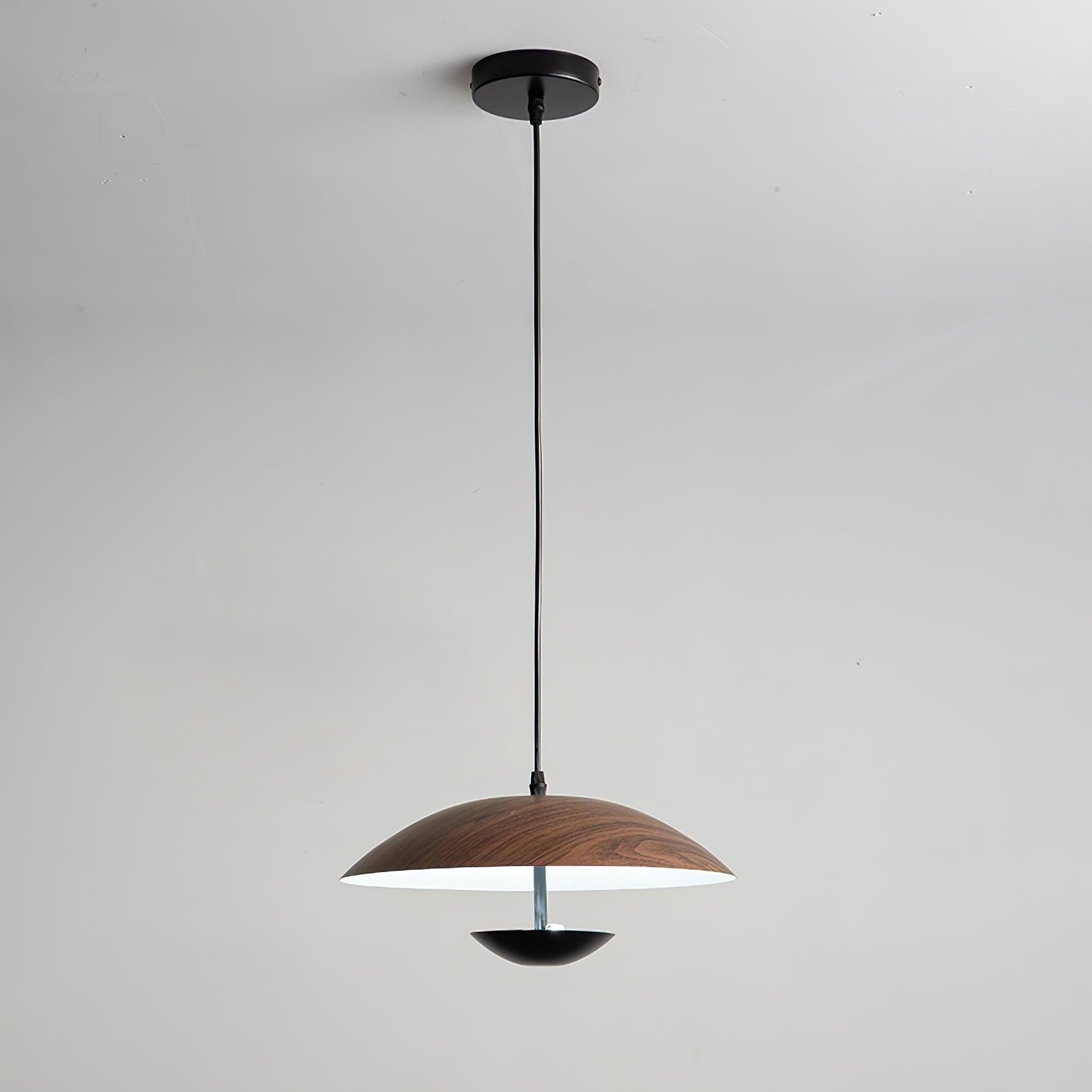 Virainette Modern Frisbee Pendant Lamp
