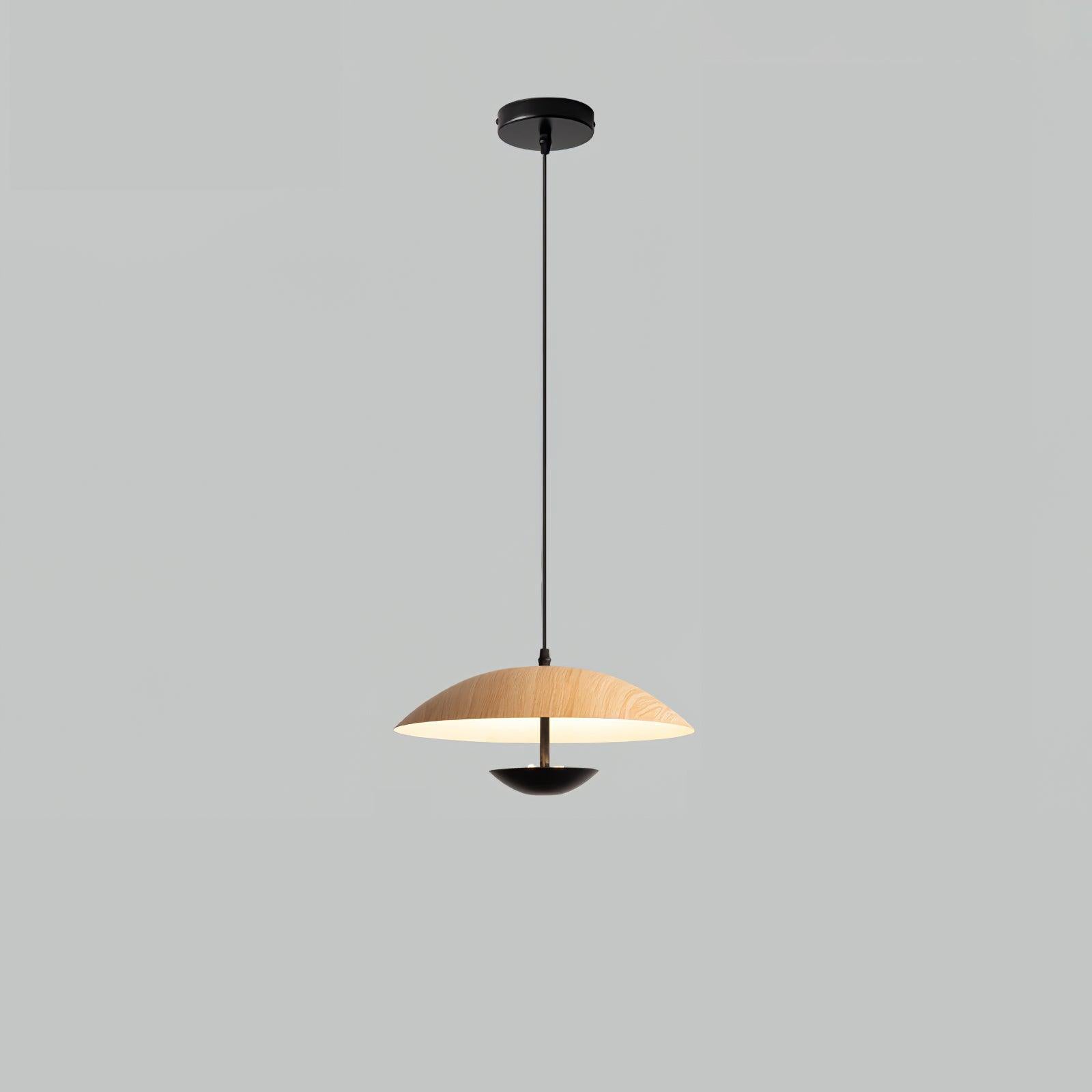Virainette Modern Frisbee Pendant Lamp