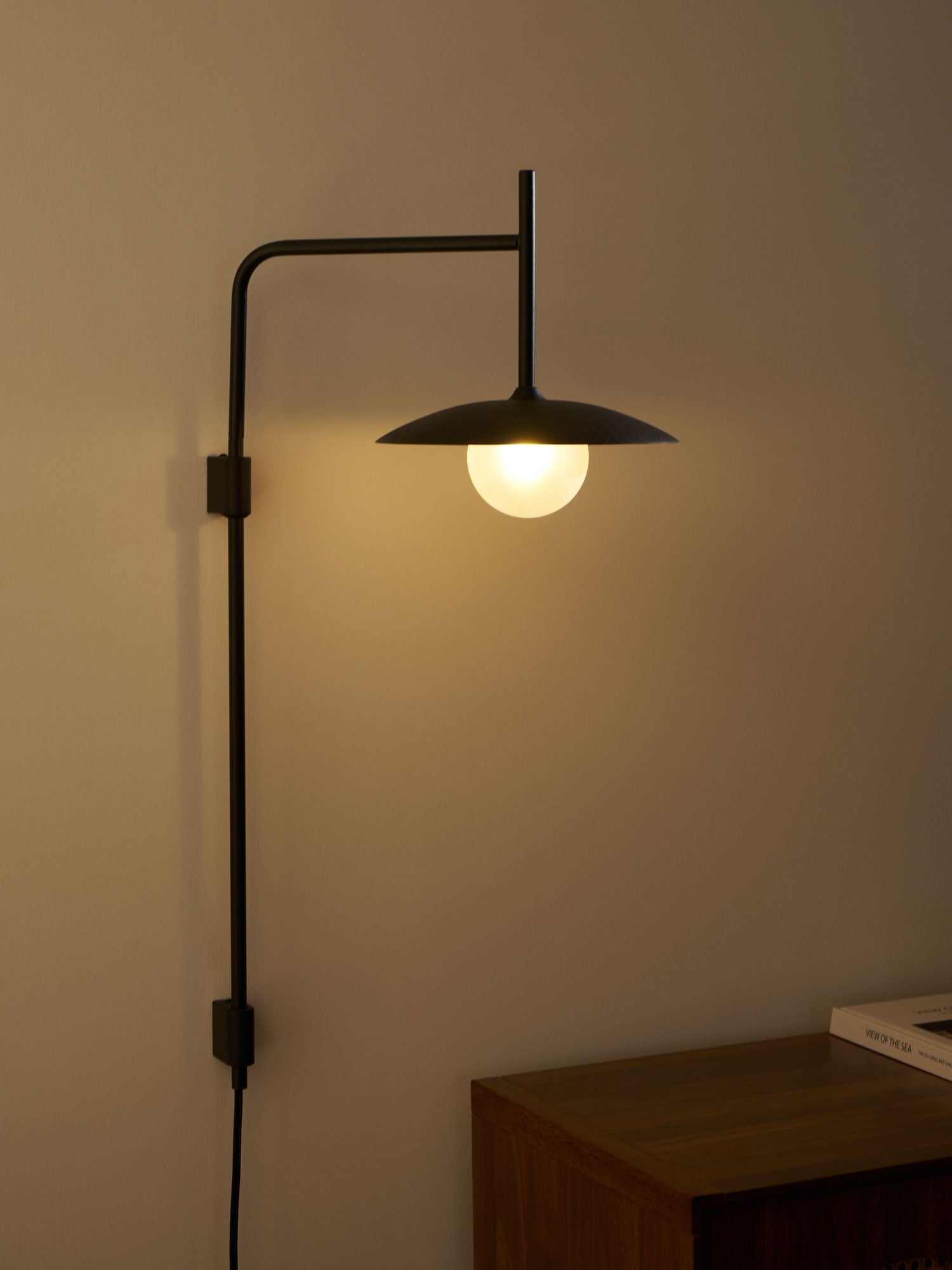 Paxon Swing Arm Plug-in Glass Wall Lamp