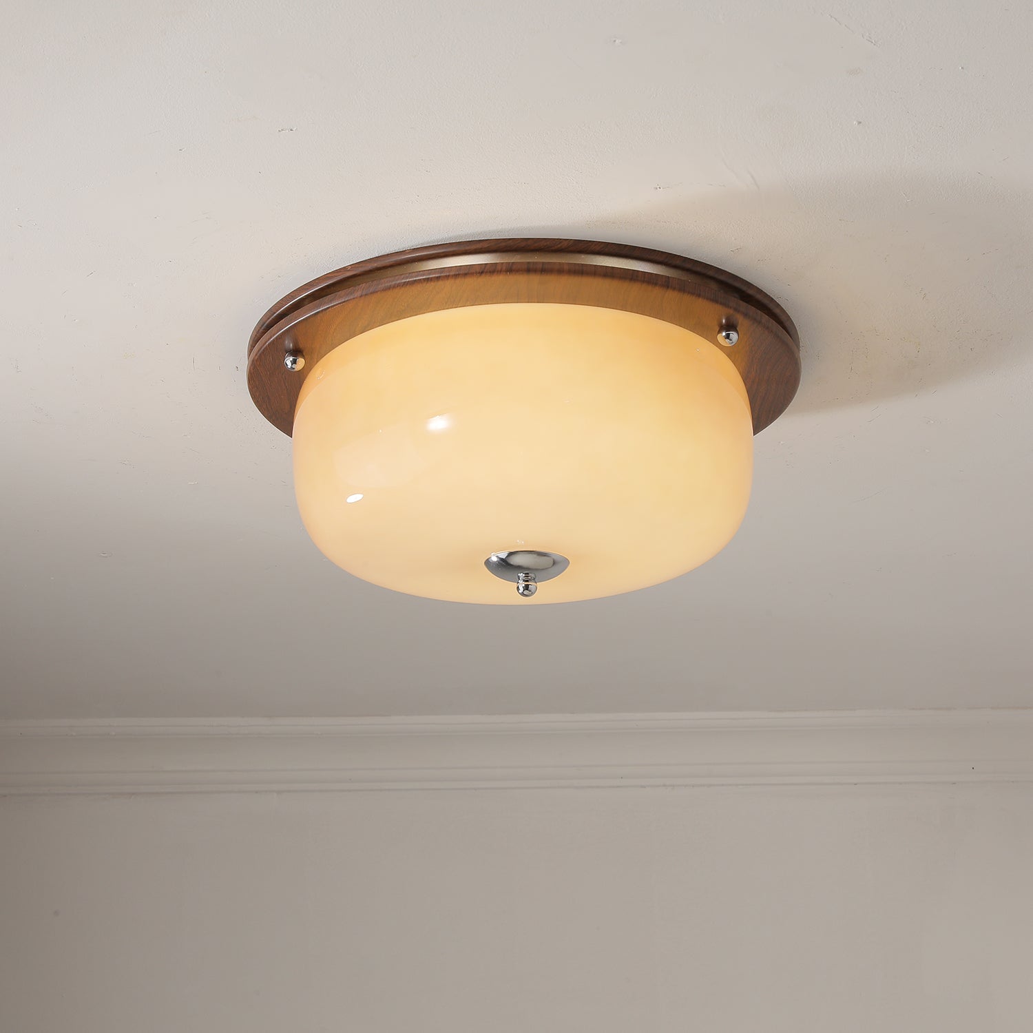 Vetheel Premium Nordic Art Dome Glass Ceiling Light
