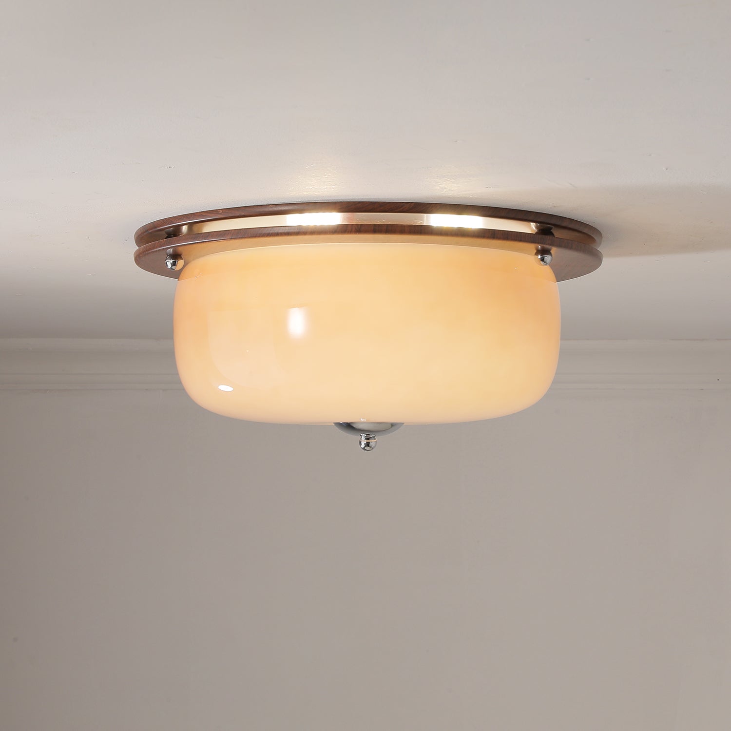 Vetheel Premium Nordic Art Dome Glass Ceiling Light