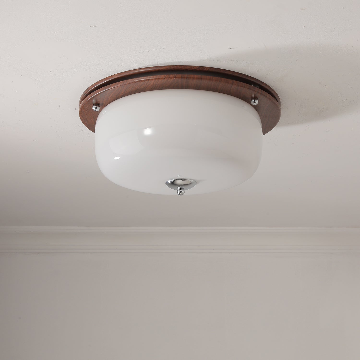 Vetheel Premium Nordic Art Dome Glass Ceiling Light