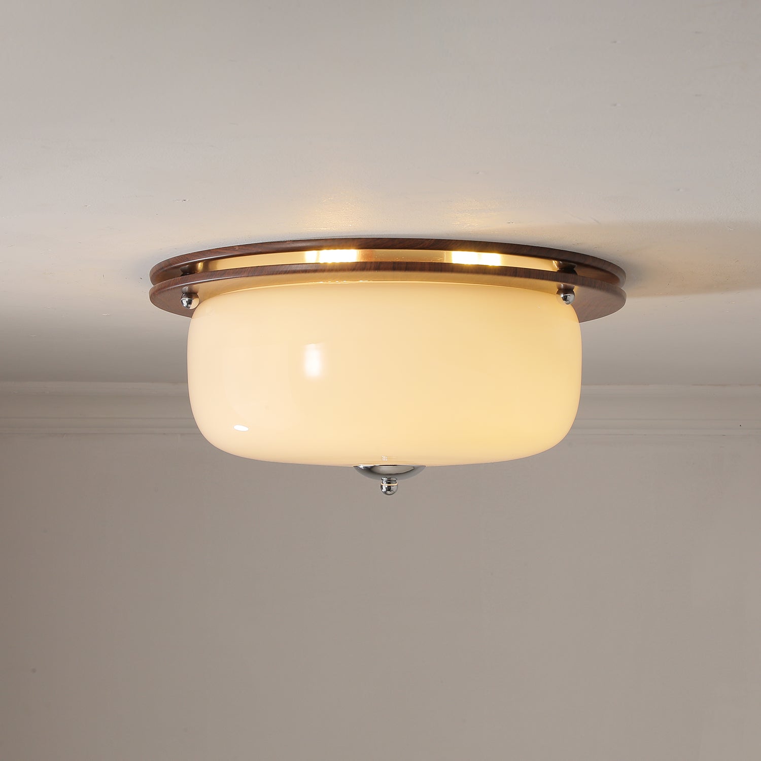 Vetheel Premium Nordic Art Dome Glass Ceiling Light
