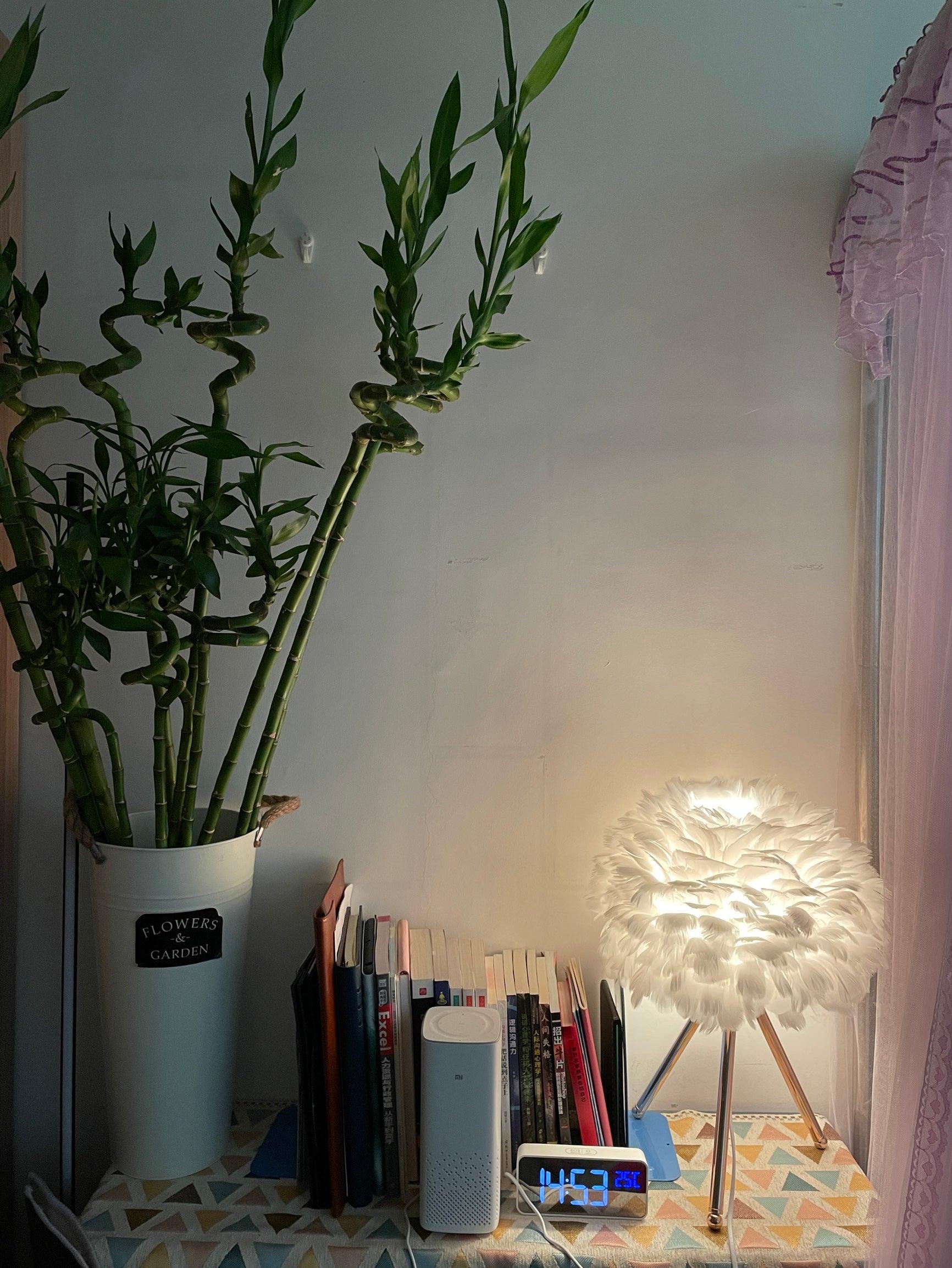 Nilo Feather Feminine Table Lamp - Neutral Decor
