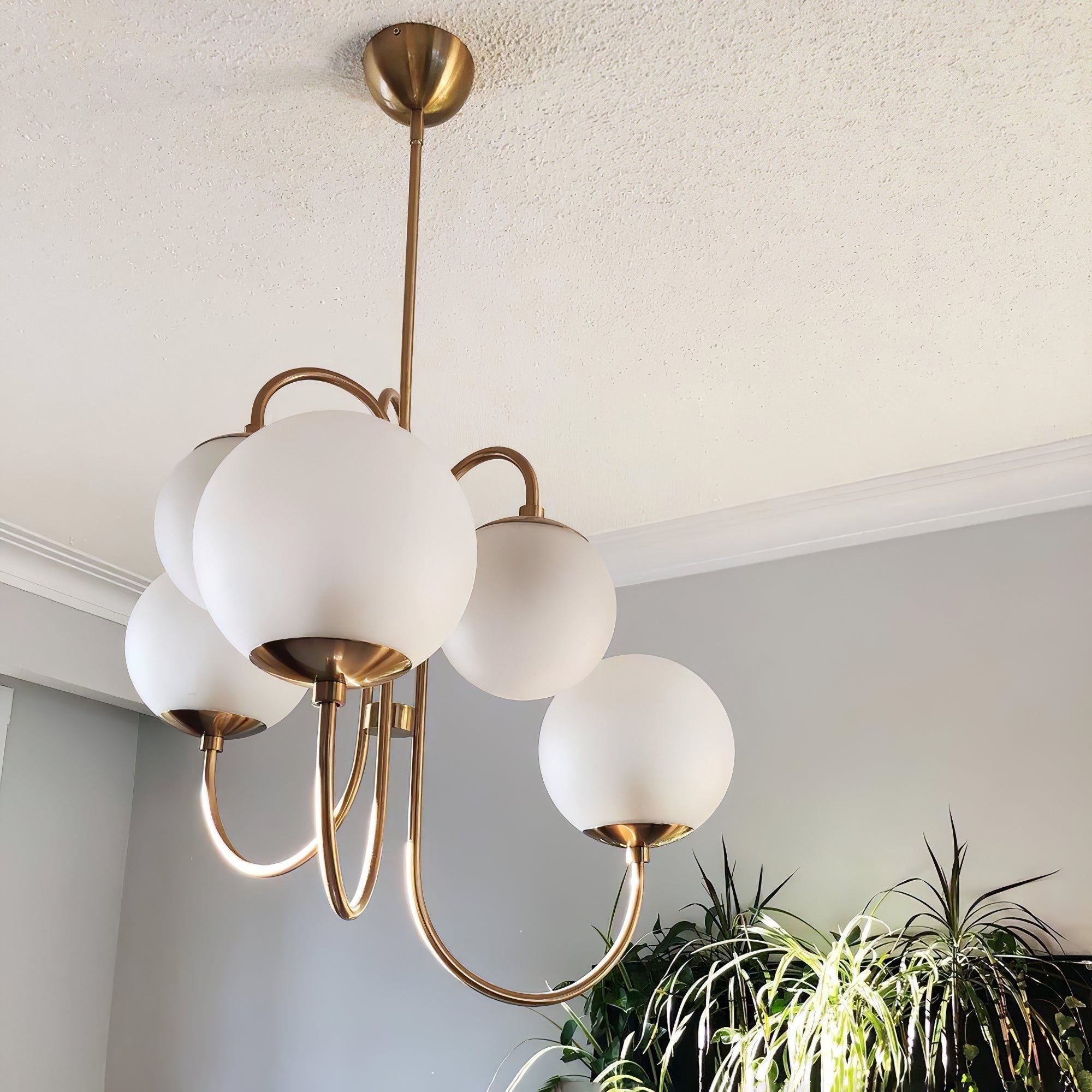 Auruaria Chandelier Brass Globe Cluster Curved Arm