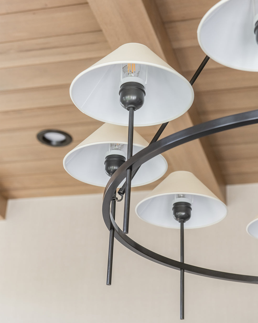 Rivalaria Chandelier