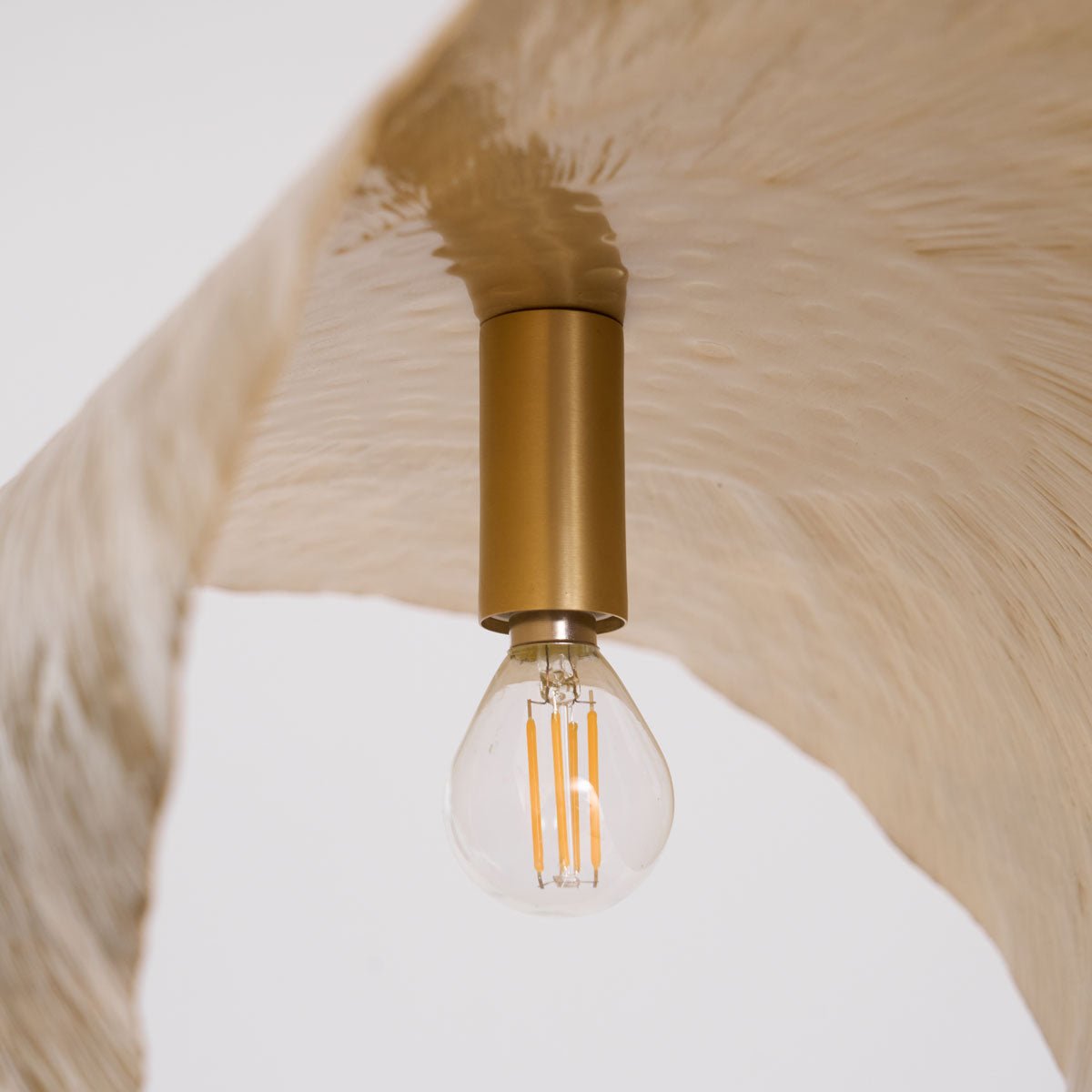 Dovenn Minimalist Pendant Light