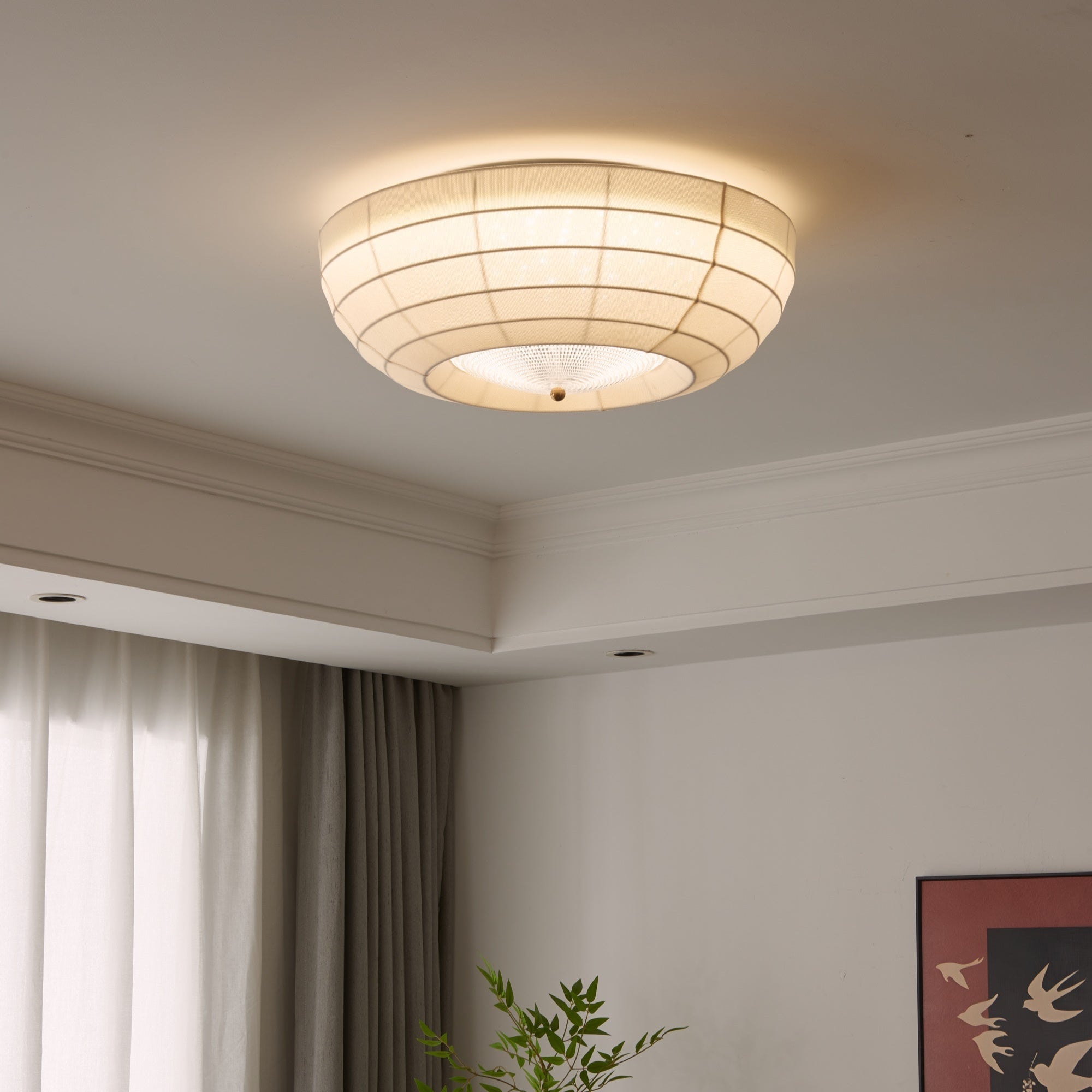 Zentrix Ceiling Light