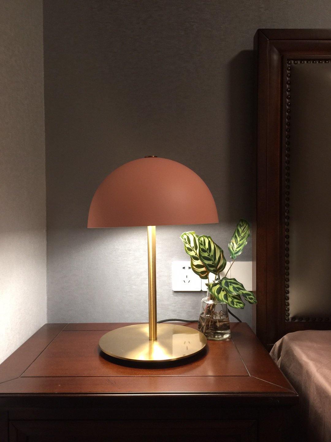 Brioth Acrylic Scandinavian Table Lamp