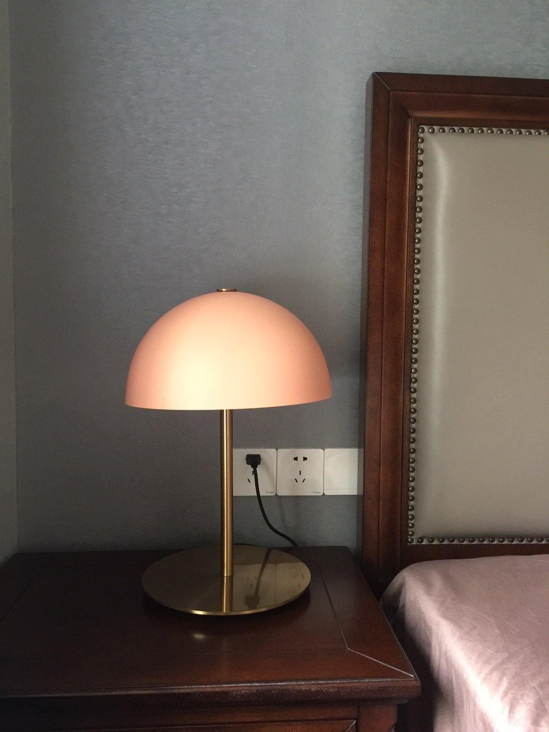Brioth Acrylic Scandinavian Table Lamp