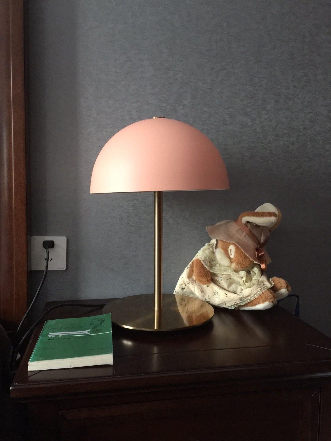 Brioth Acrylic Scandinavian Table Lamp