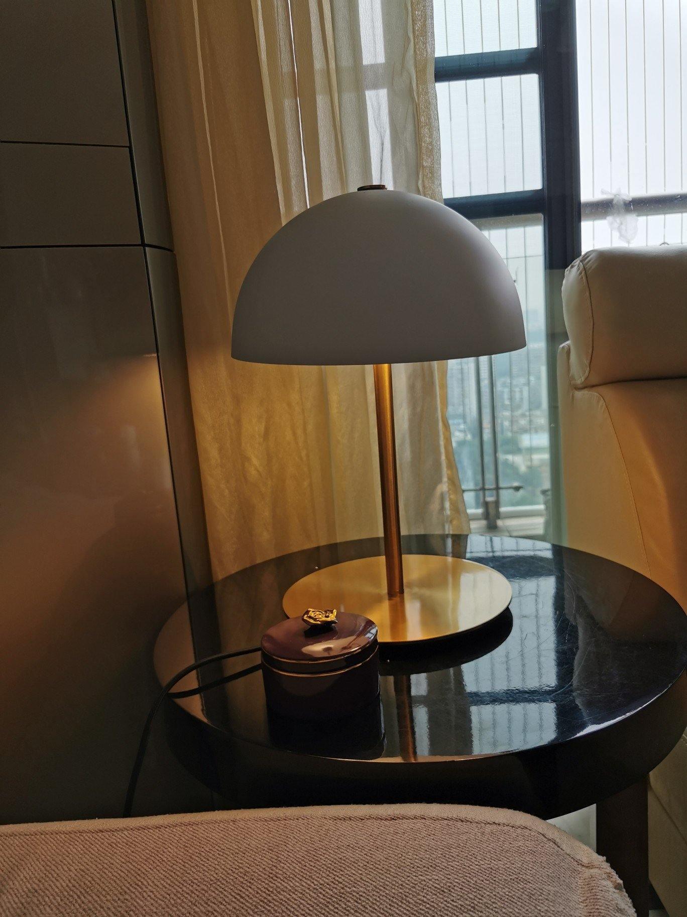Brioth Acrylic Scandinavian Table Lamp