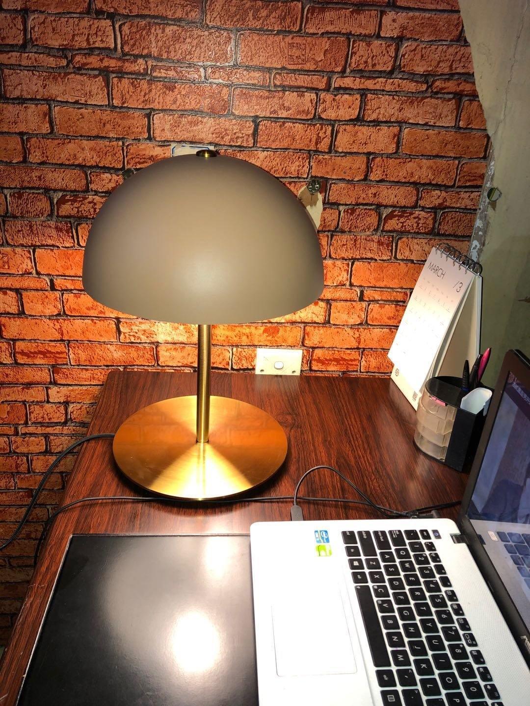 Brioth Acrylic Scandinavian Table Lamp