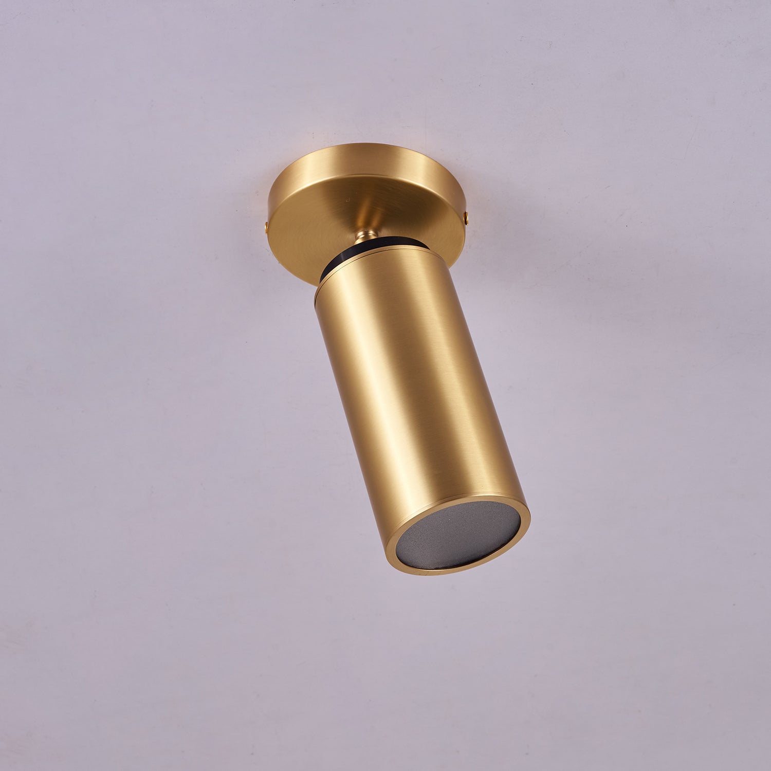 Syloran Modern Minimalist Brass Spot Light Ceiling lamp