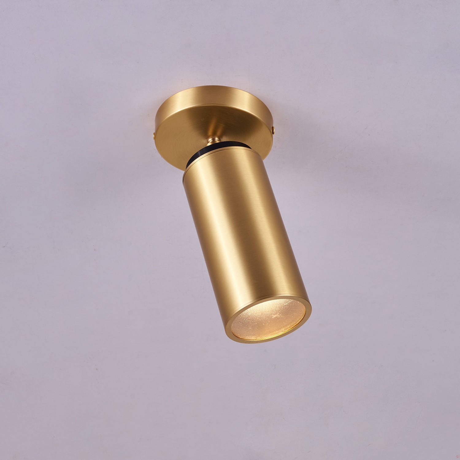 Syloran Modern Minimalist Brass Spot Light Ceiling lamp