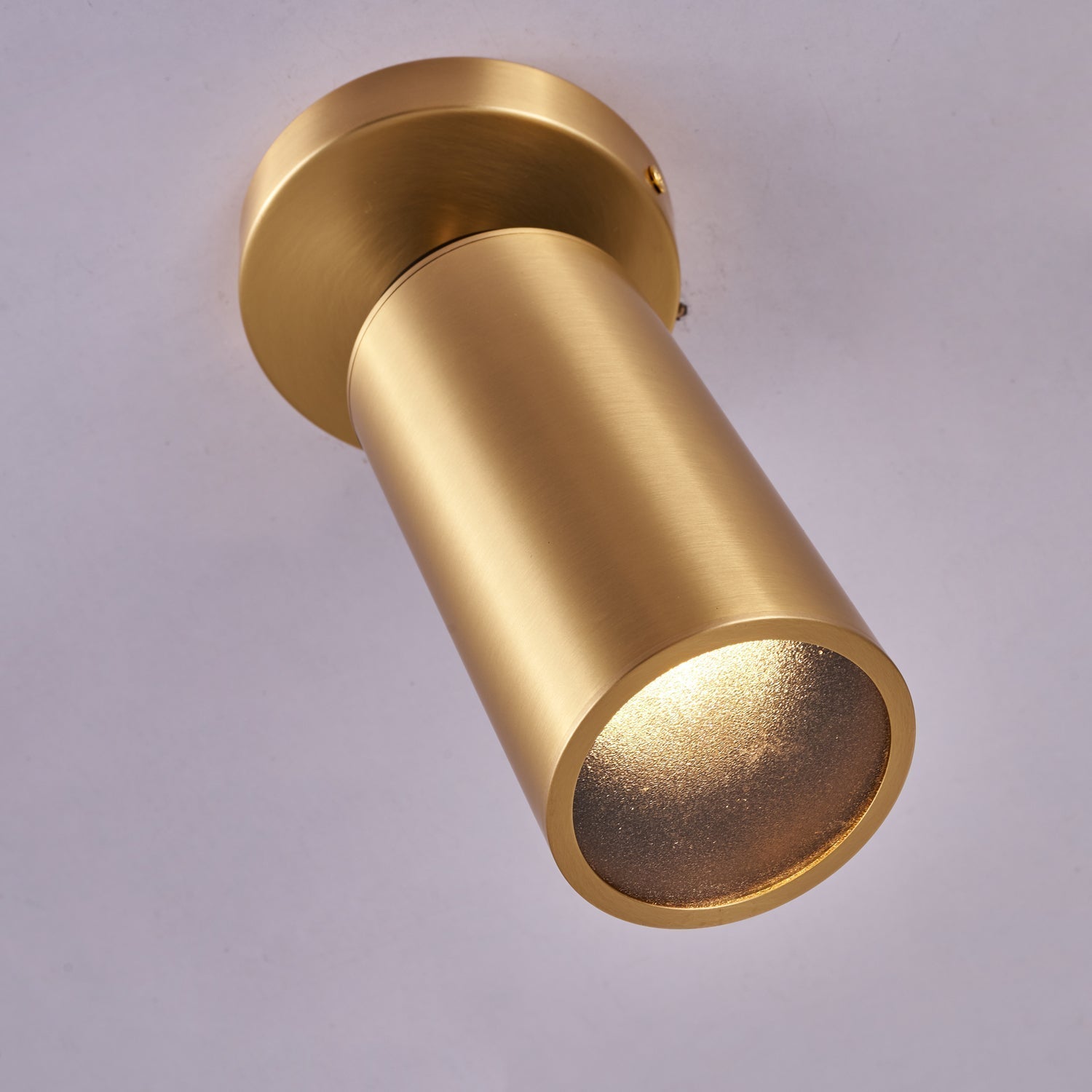Syloran Modern Minimalist Brass Spot Light Ceiling lamp