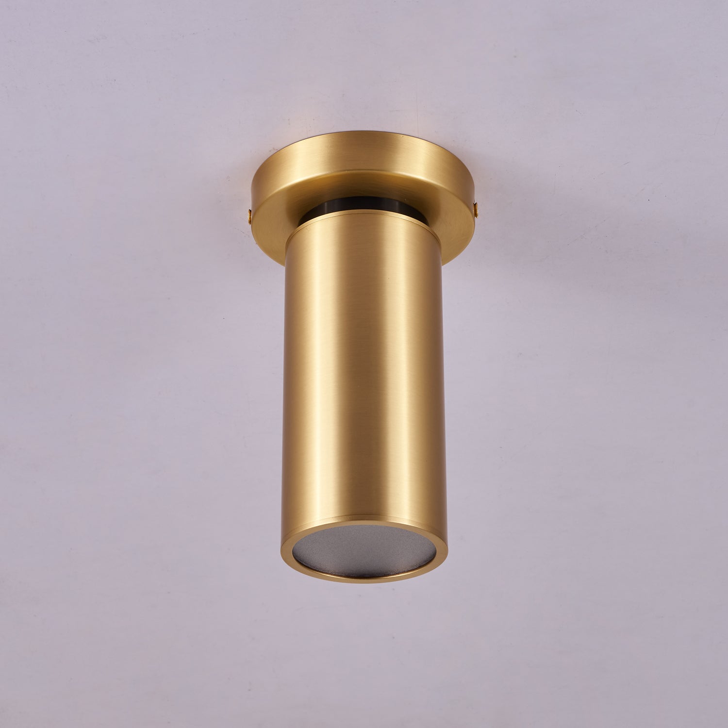 Syloran Modern Minimalist Brass Spot Light Ceiling lamp