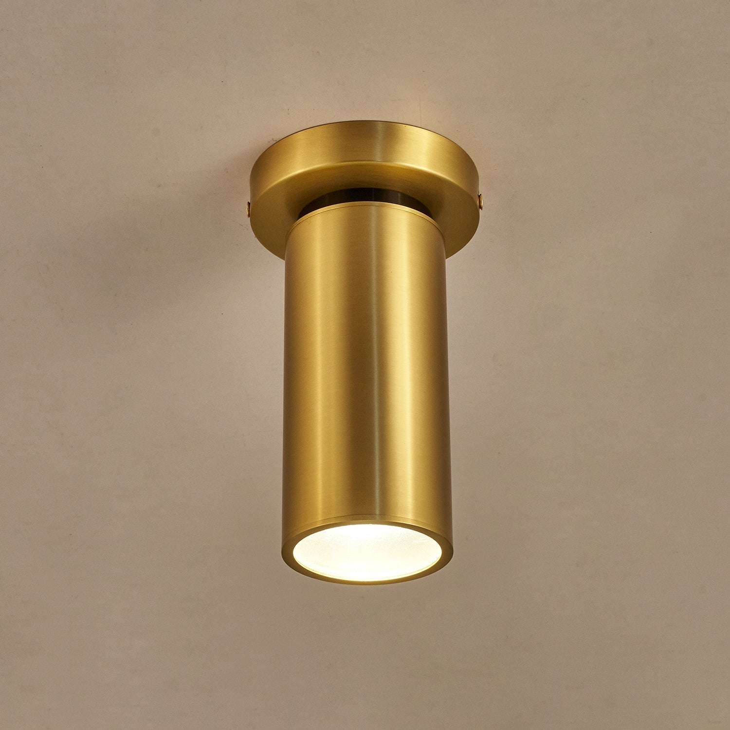 Syloran Modern Minimalist Brass Spot Light Ceiling lamp