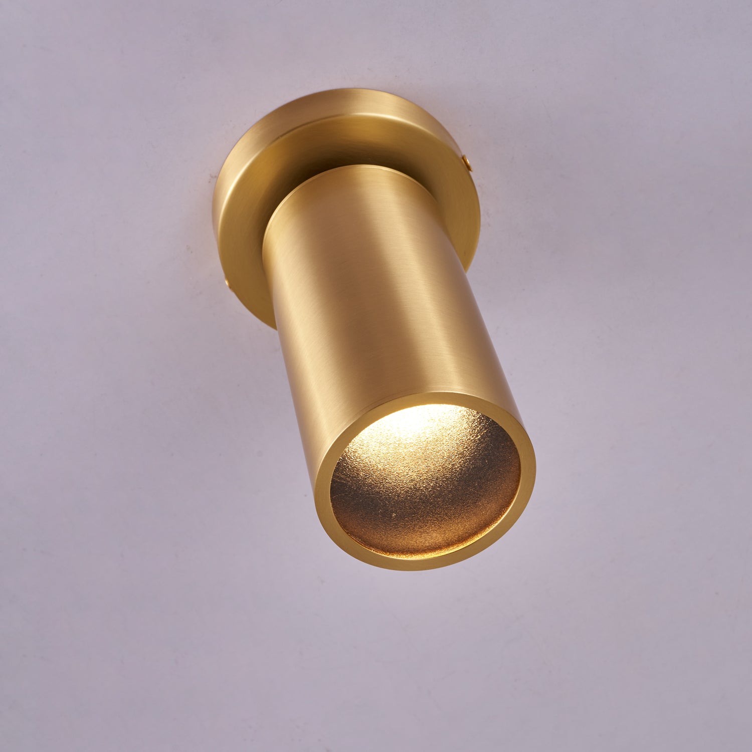 Syloran Modern Minimalist Brass Spot Light Ceiling lamp
