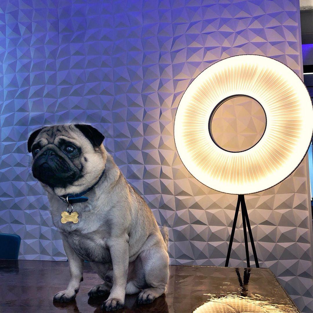 Helen Modern Floor Lamp