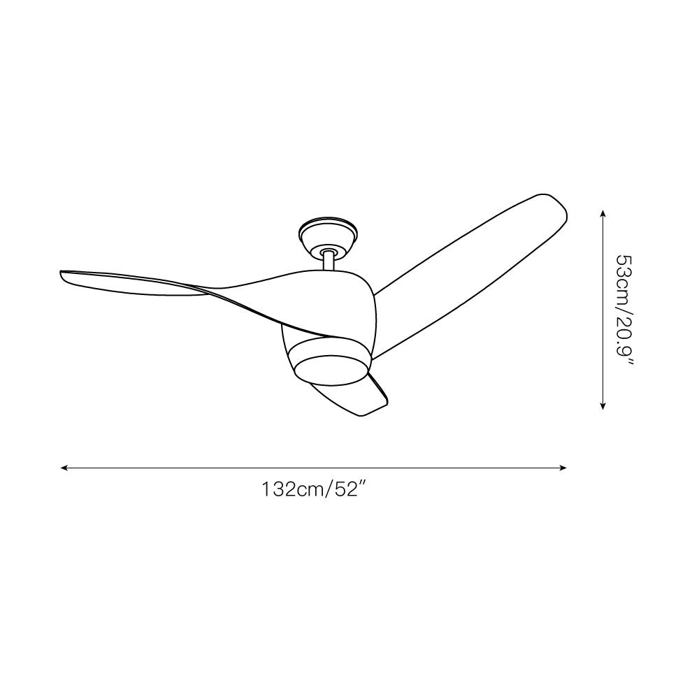 Liororeon Ceiling Fan Light