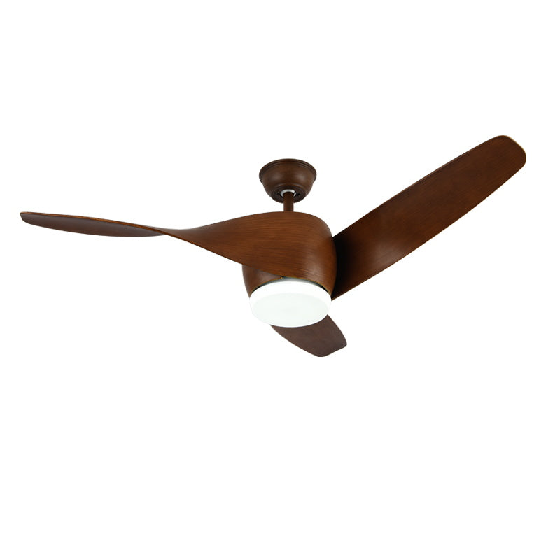 Liororeon Ceiling Fan Light