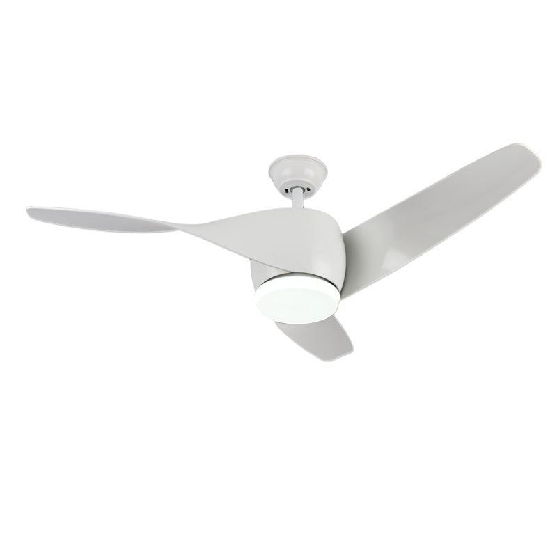 Liororeon Ceiling Fan Light