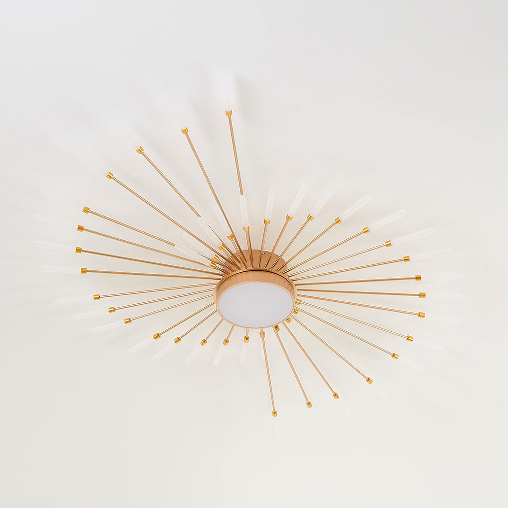 Arisha Modern Home Decoration Fireworks LED Ceiling Light