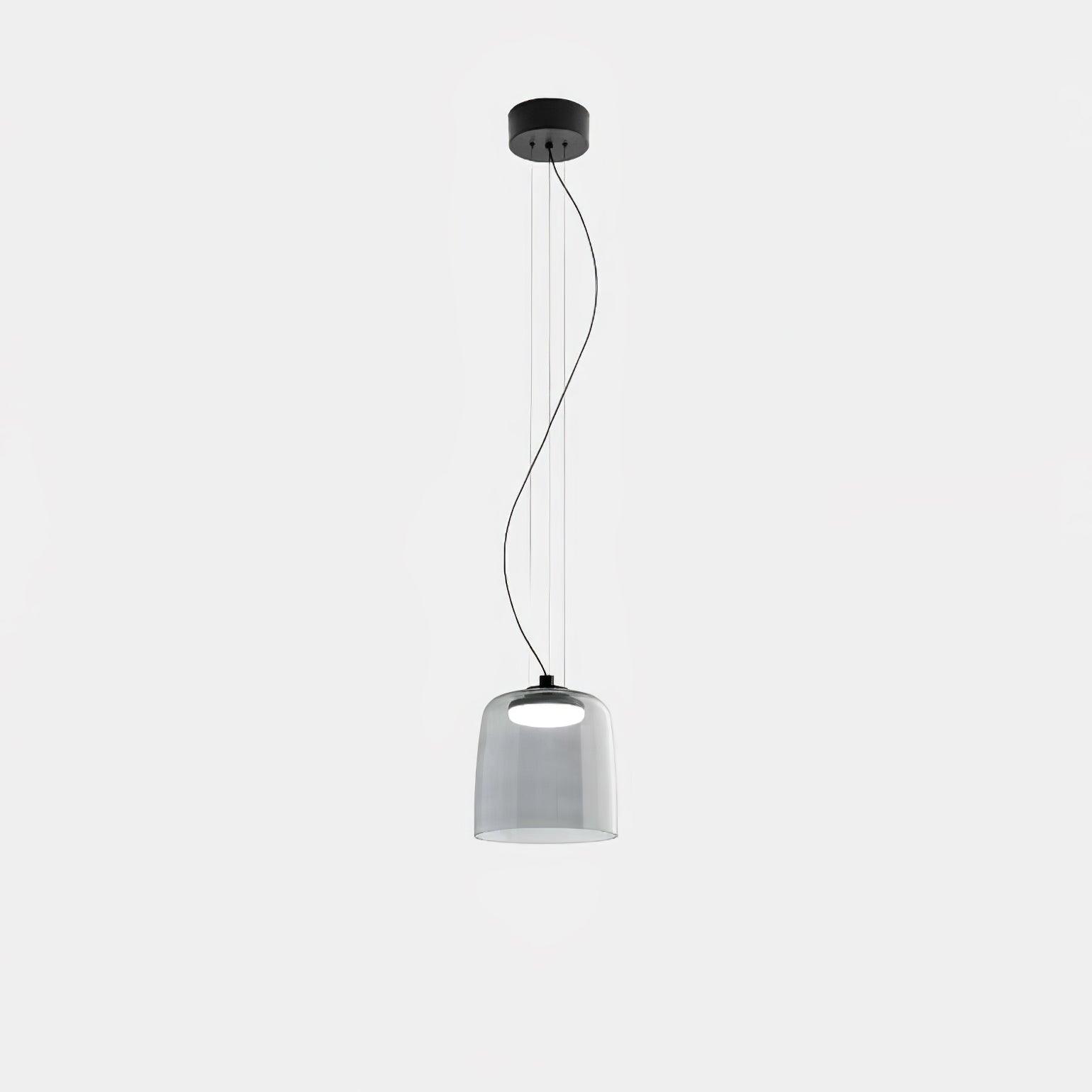 Renivine Industrial Pendant Light