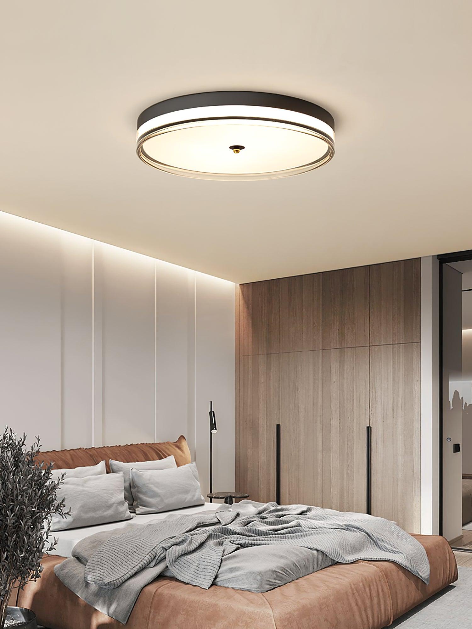 Usolira Modern Minimalist Ceiling Light