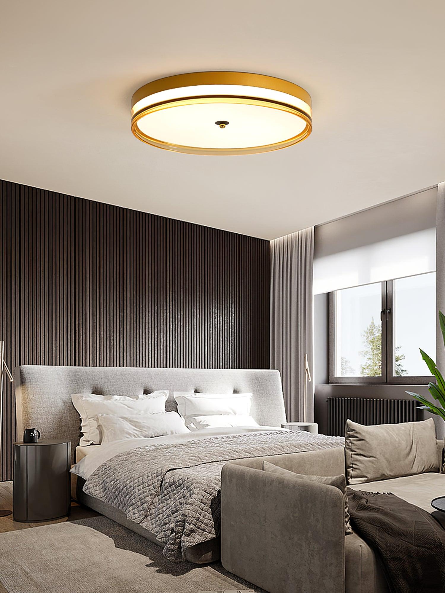 Usolira Modern Minimalist Ceiling Light