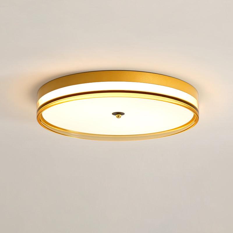 Usolira Modern Minimalist Ceiling Light