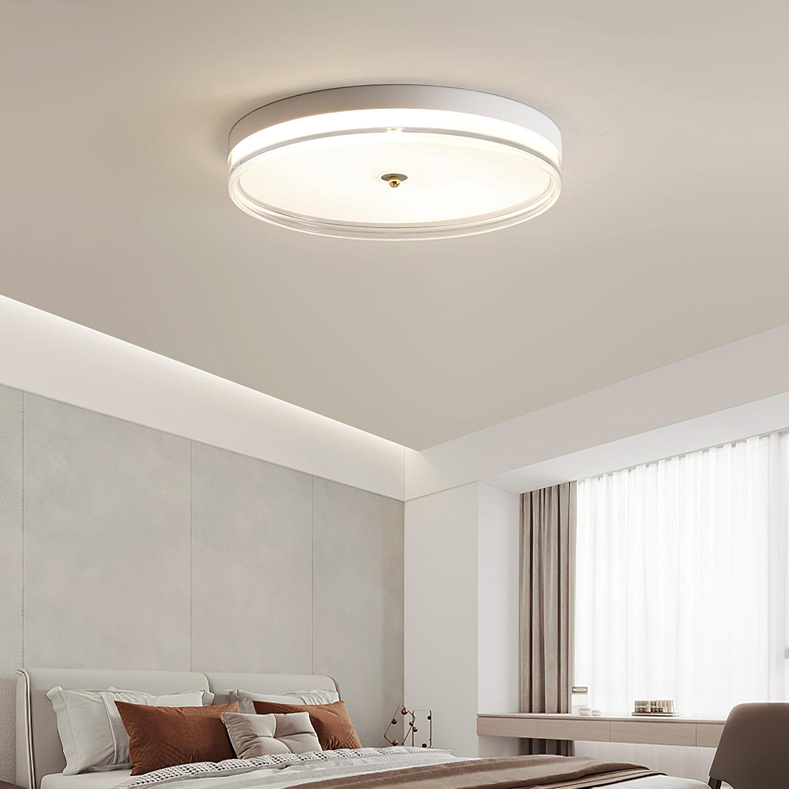 Usolira Modern Minimalist Ceiling Light