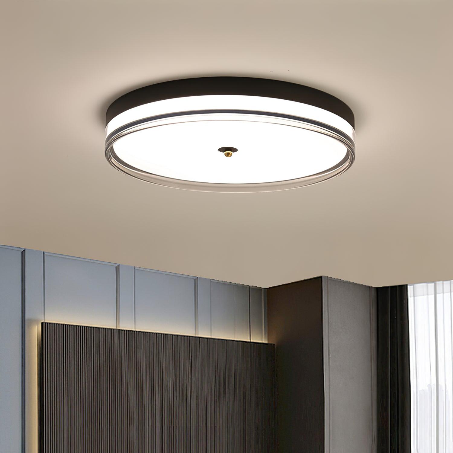 Usolira Modern Minimalist Ceiling Light