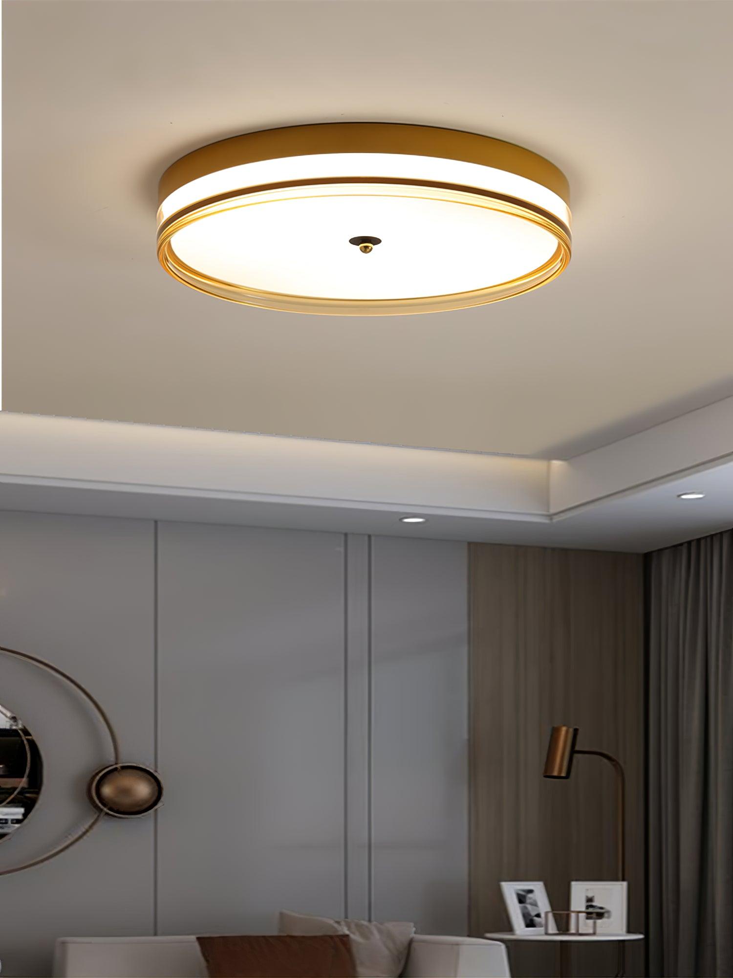 Usolira Modern Minimalist Ceiling Light