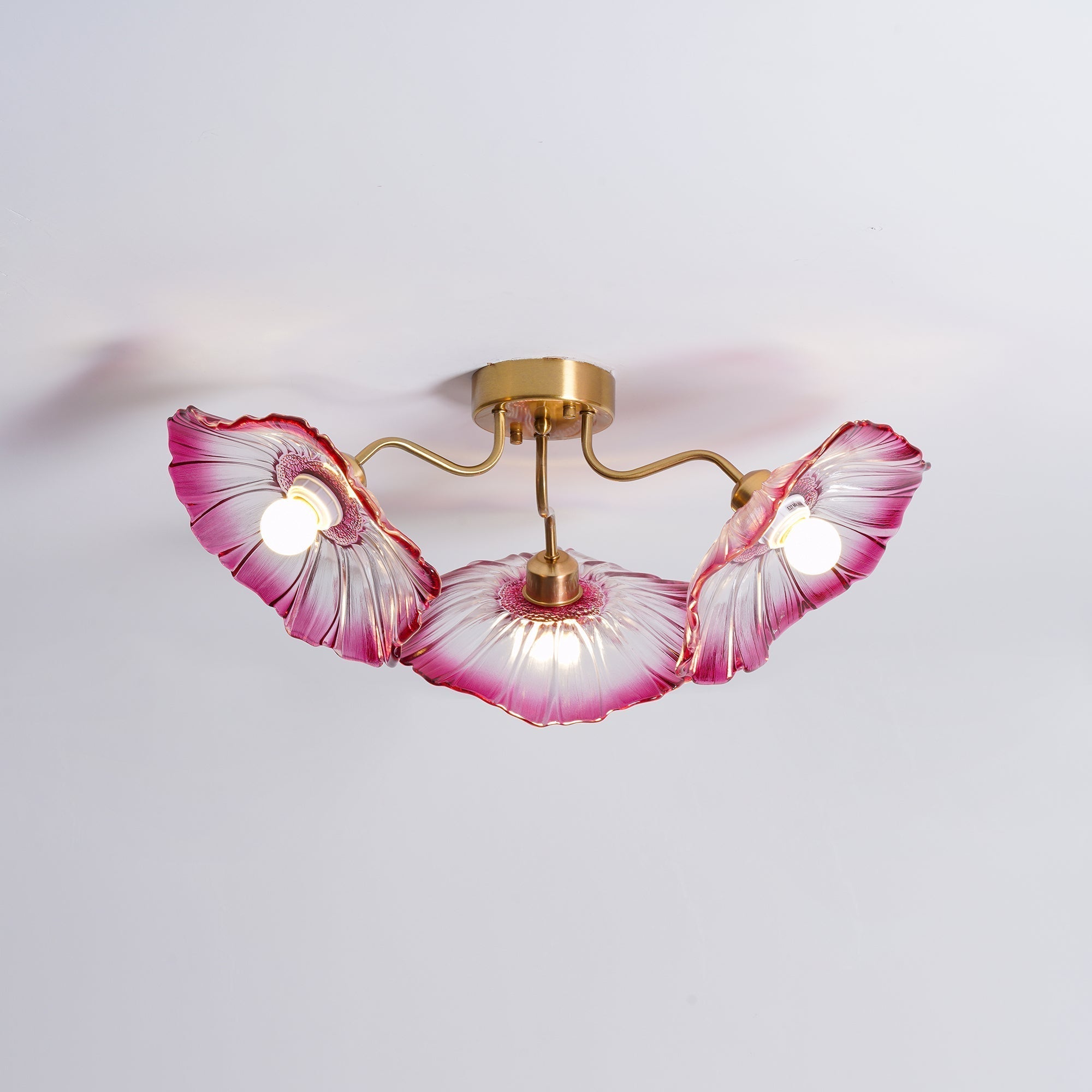Lioruina Ceiling Lamp Leaf Glass with Brass Elegant