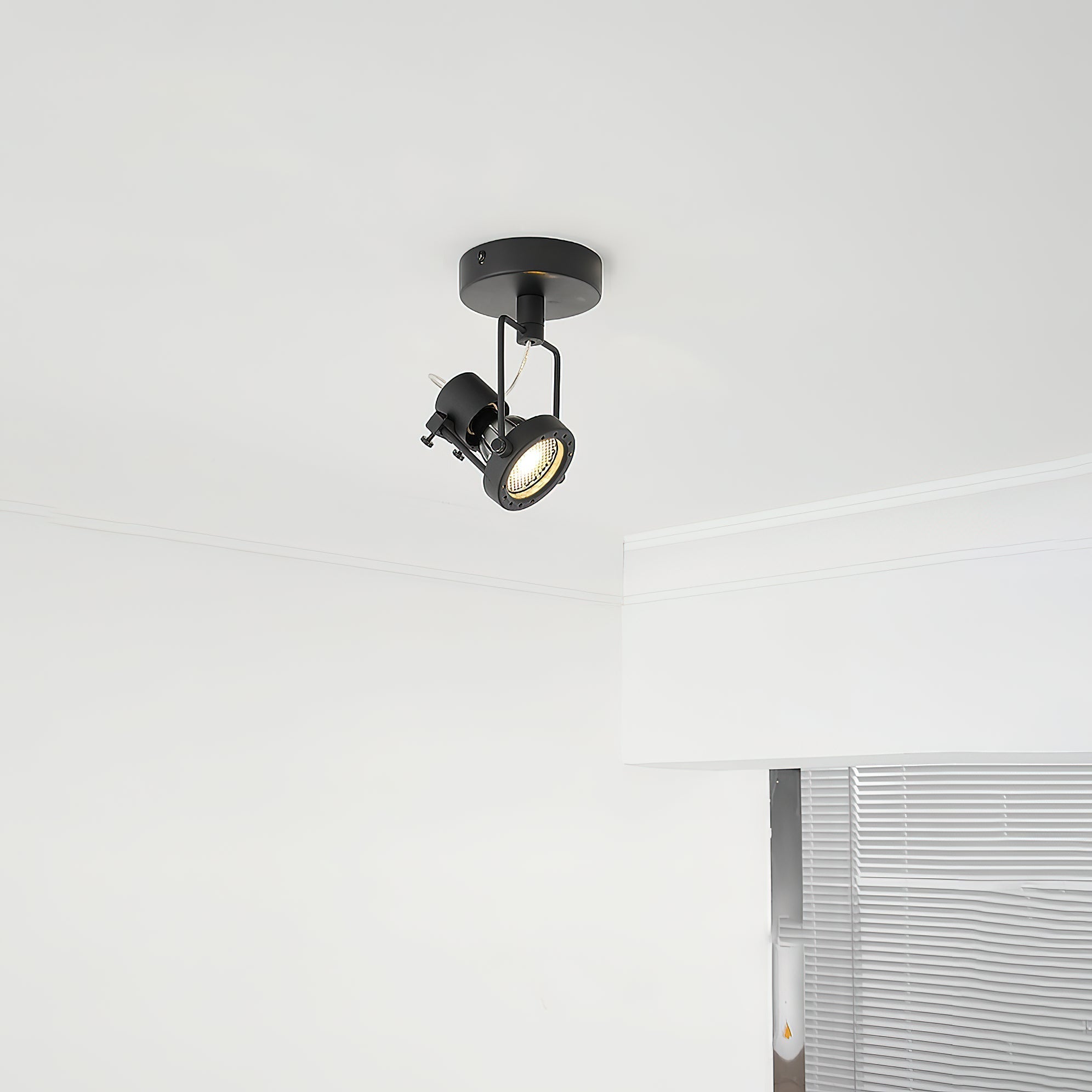 Torven Ceiling Light