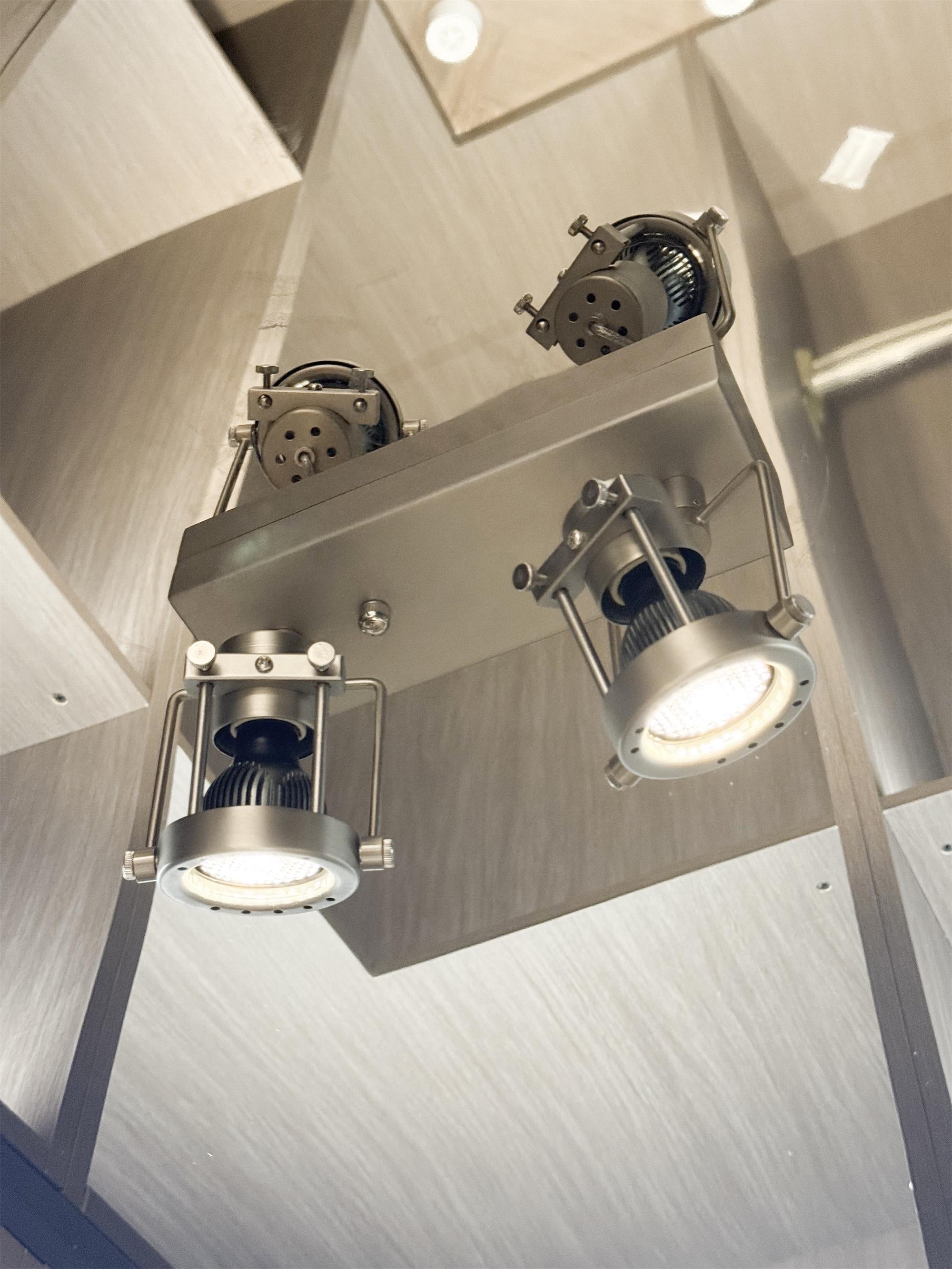 Caldor Spot Array Ceiling Lamp