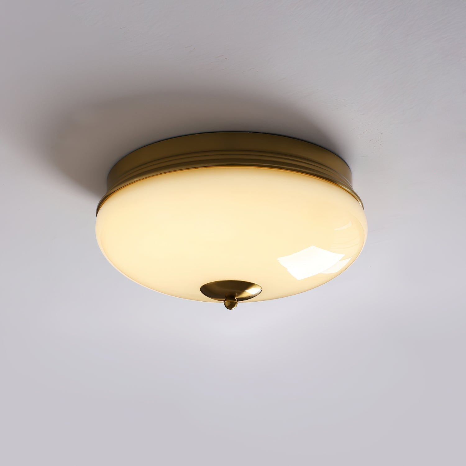 Elaalian Ceiling Light