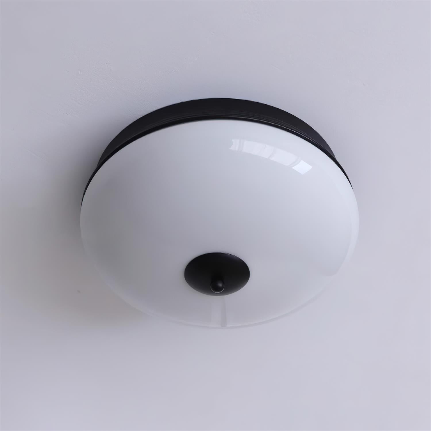 Elaalian Ceiling Light