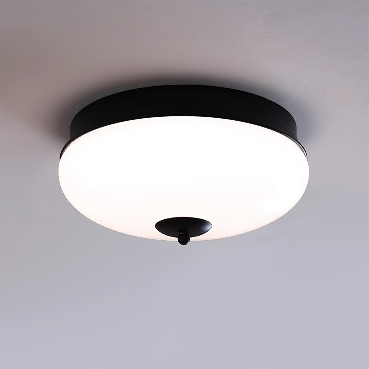 Elaalian Ceiling Light