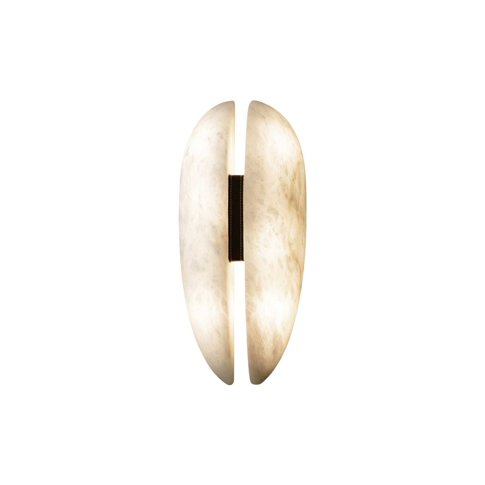 Viraaaria Wall Lamp