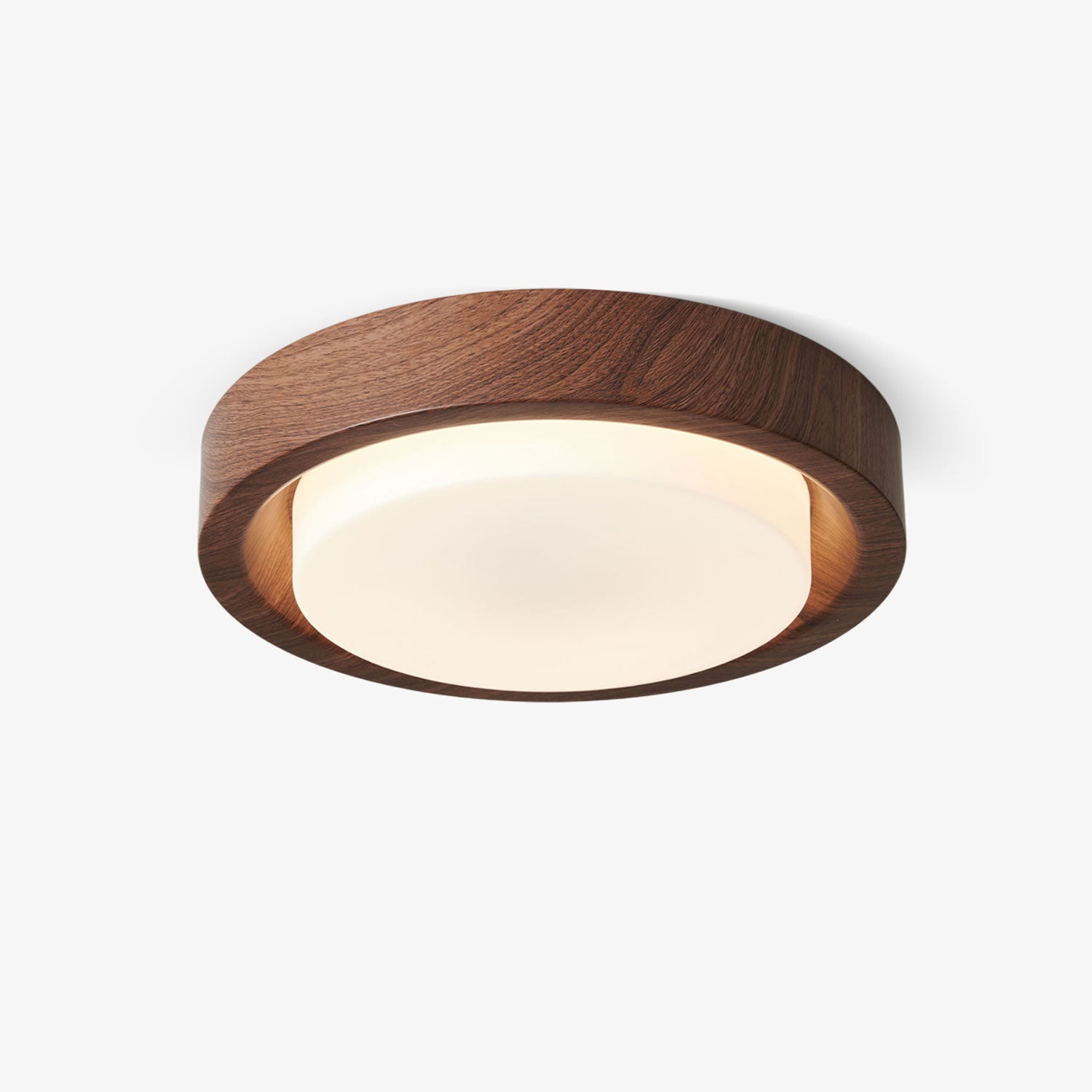 Terienine Lunor Ring Ceiling Light